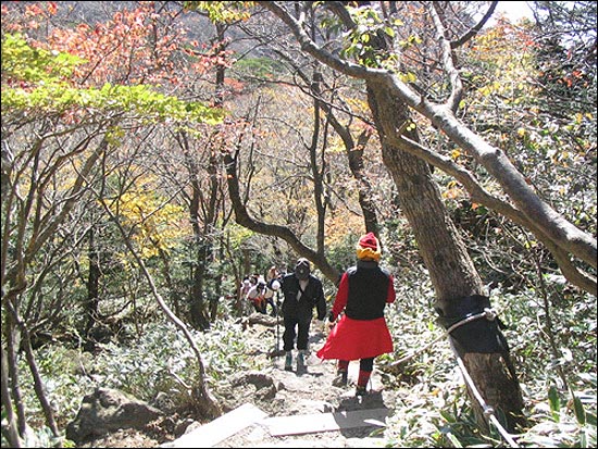 겨울 채비를 하는 등산로 